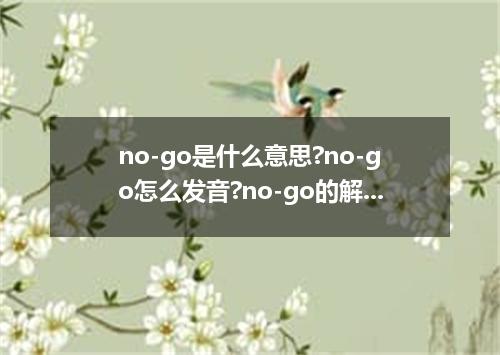no-go是什么意思?no-go怎么发音?no-go的解释和用法