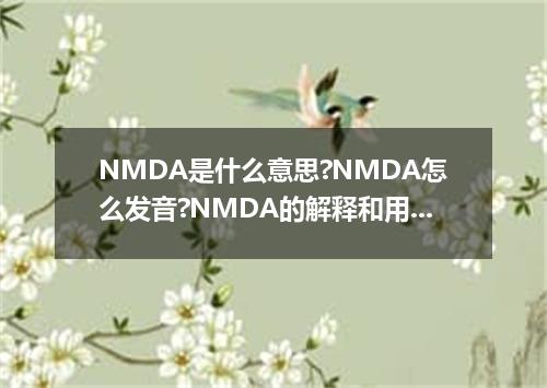 NMDA是什么意思?NMDA怎么发音?NMDA的解释和用法
