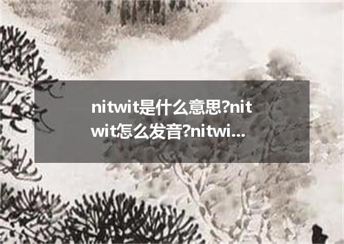 nitwit是什么意思?nitwit怎么发音?nitwit的解释和用法