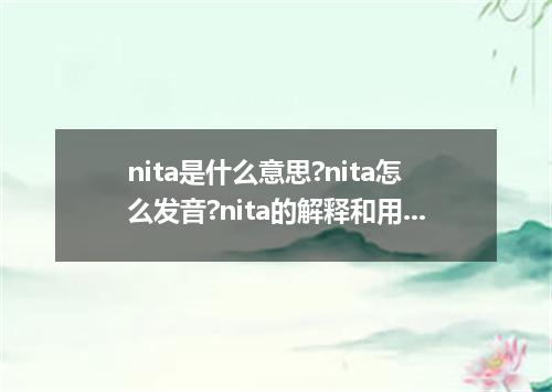 nita是什么意思?nita怎么发音?nita的解释和用法