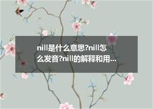 nill是什么意思?nill怎么发音?nill的解释和用法