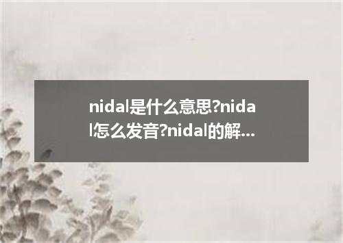 nidal是什么意思?nidal怎么发音?nidal的解释和用法