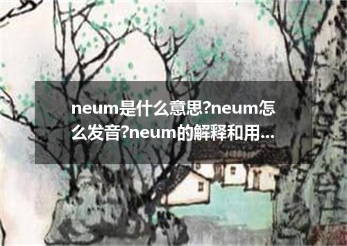 neum是什么意思?neum怎么发音?neum的解释和用法