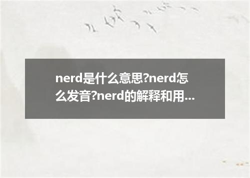 nerd是什么意思?nerd怎么发音?nerd的解释和用法
