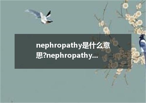 nephropathy是什么意思?nephropathy怎么发音?nephropathy的解释和用法