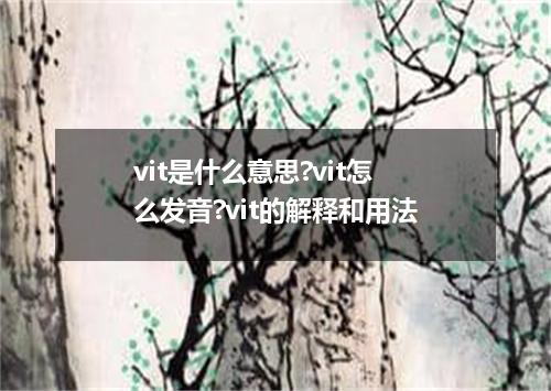 vit是什么意思?vit怎么发音?vit的解释和用法