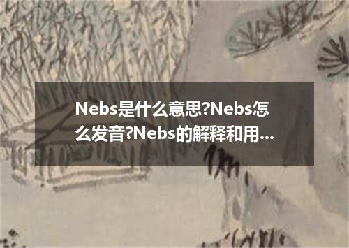 Nebs是什么意思?Nebs怎么发音?Nebs的解释和用法