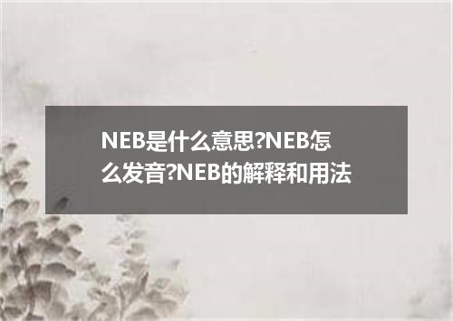 NEB是什么意思?NEB怎么发音?NEB的解释和用法