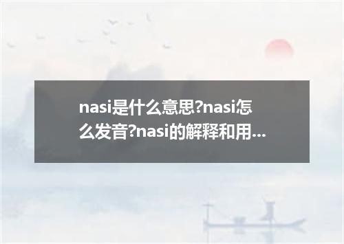 nasi是什么意思?nasi怎么发音?nasi的解释和用法