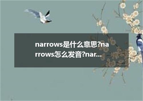 narrows是什么意思?narrows怎么发音?narrows的解释和用法