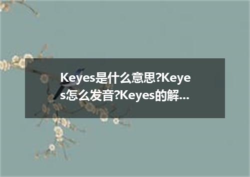 Keyes是什么意思?Keyes怎么发音?Keyes的解释和用法