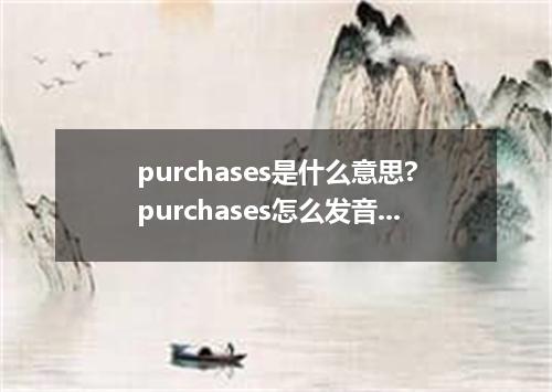 purchases是什么意思?purchases怎么发音?purchases的解释和用法