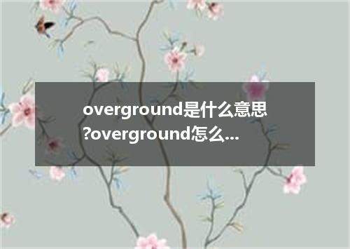 overground是什么意思?overground怎么发音?overground的解释和用法