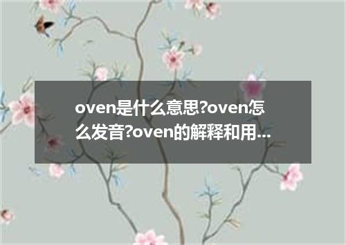 oven是什么意思?oven怎么发音?oven的解释和用法