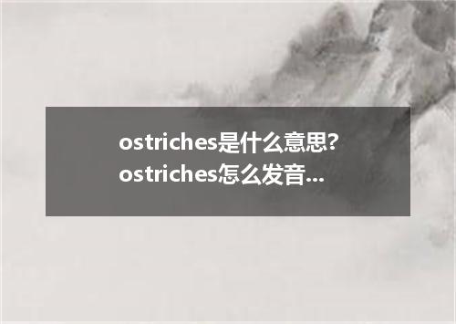 ostriches是什么意思?ostriches怎么发音?ostriches的解释和用法