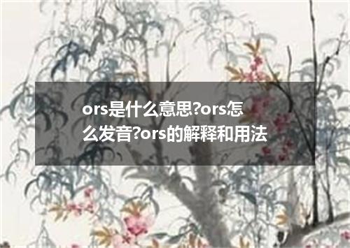 ors是什么意思?ors怎么发音?ors的解释和用法