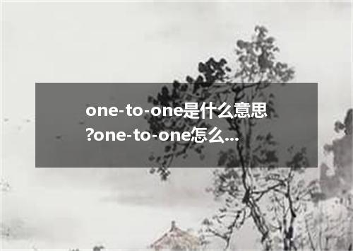 one-to-one是什么意思?one-to-one怎么发音?one-to-one的解释和用法