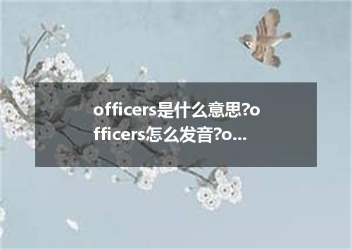 officers是什么意思?officers怎么发音?officers的解释和用法