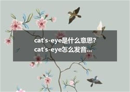 cat's-eye是什么意思?cat's-eye怎么发音?cat's-eye的解释和用法