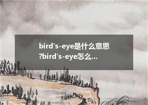 bird's-eye是什么意思?bird's-eye怎么发音?bird's-eye的解释和用法