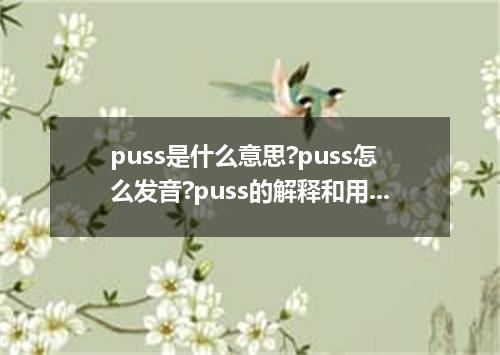 puss是什么意思?puss怎么发音?puss的解释和用法