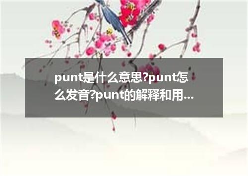 punt是什么意思?punt怎么发音?punt的解释和用法