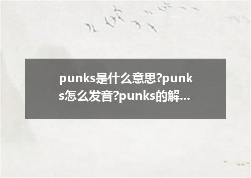 punks是什么意思?punks怎么发音?punks的解释和用法