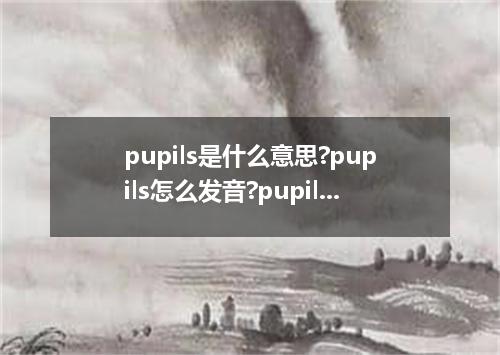pupils是什么意思?pupils怎么发音?pupils的解释和用法