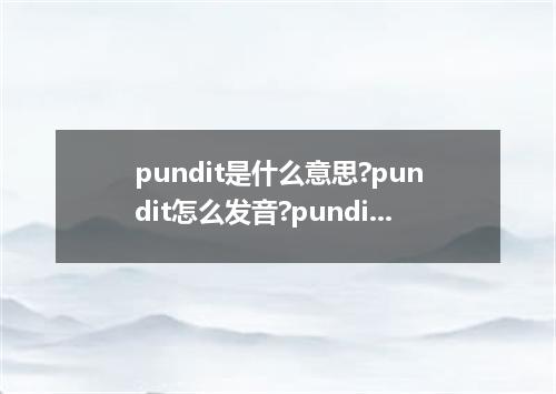 pundit是什么意思?pundit怎么发音?pundit的解释和用法