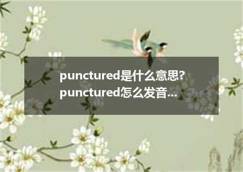 punctured是什么意思?punctured怎么发音?punctured的解释和用法