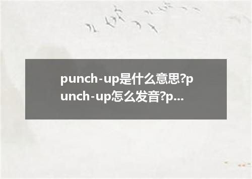 punch-up是什么意思?punch-up怎么发音?punch-up的解释和用法