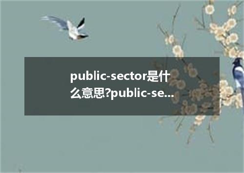 public-sector是什么意思?public-sector怎么发音?public-sector的解释和用法