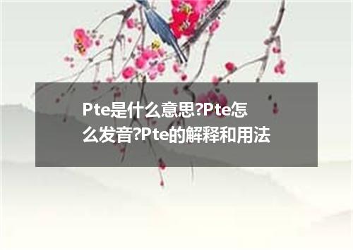 Pte是什么意思?Pte怎么发音?Pte的解释和用法
