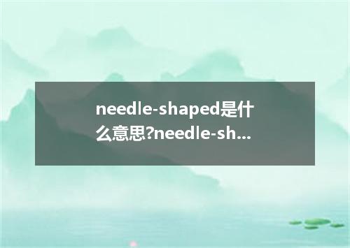 needle-shaped是什么意思?needle-shaped怎么发音?needle-shaped的解释和用法