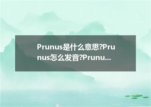 Prunus是什么意思?Prunus怎么发音?Prunus的解释和用法