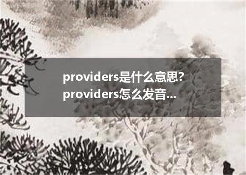 providers是什么意思?providers怎么发音?providers的解释和用法