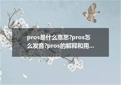 pros是什么意思?pros怎么发音?pros的解释和用法