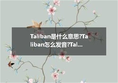 Taliban是什么意思?Taliban怎么发音?Taliban的解释和用法