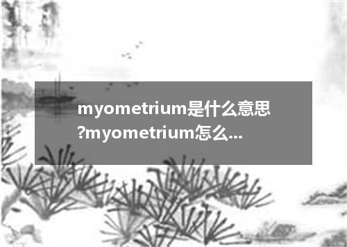 myometrium是什么意思?myometrium怎么发音?myometrium的解释和用法