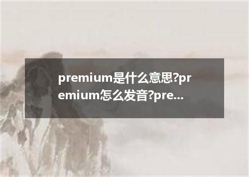premium是什么意思?premium怎么发音?premium的解释和用法