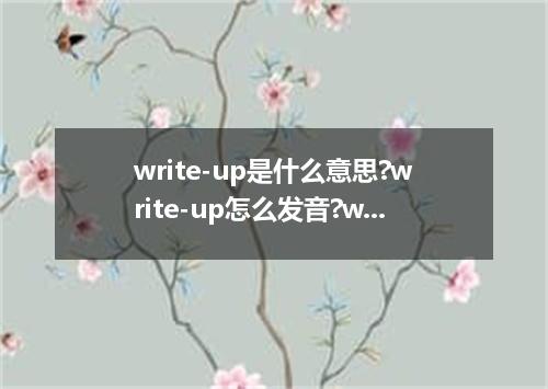 write-up是什么意思?write-up怎么发音?write-up的解释和用法