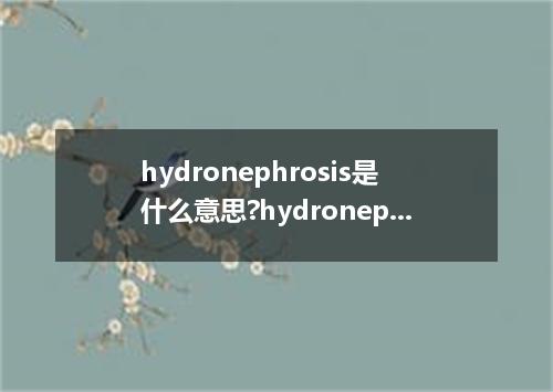 hydronephrosis是什么意思?hydronephrosis怎么发音?hydronephrosis的解释和用法