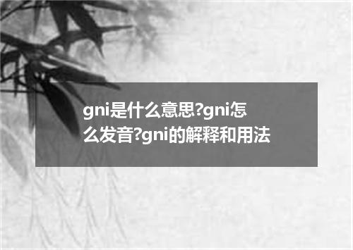 gni是什么意思?gni怎么发音?gni的解释和用法