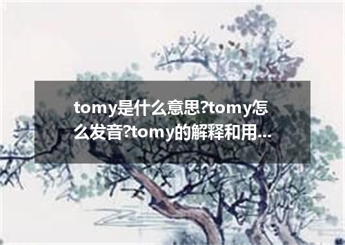 tomy是什么意思?tomy怎么发音?tomy的解释和用法