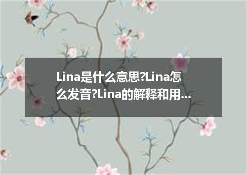 Lina是什么意思?Lina怎么发音?Lina的解释和用法