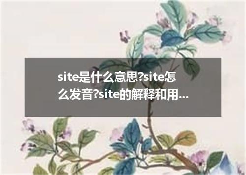 site是什么意思?site怎么发音?site的解释和用法