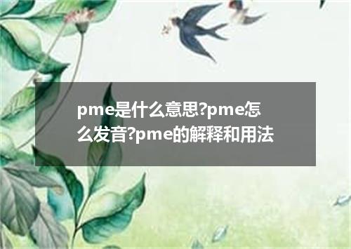 pme是什么意思?pme怎么发音?pme的解释和用法