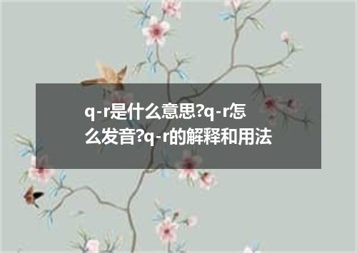 q-r是什么意思?q-r怎么发音?q-r的解释和用法