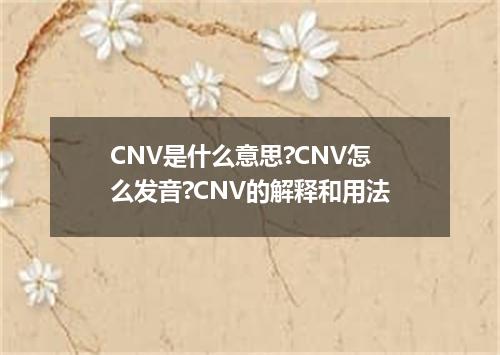 CNV是什么意思?CNV怎么发音?CNV的解释和用法