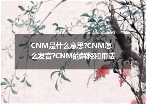 CNM是什么意思?CNM怎么发音?CNM的解释和用法
